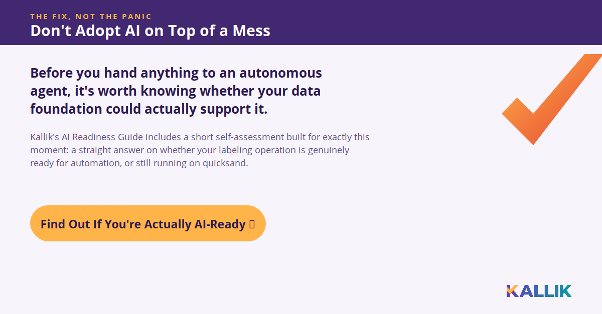 don't adopt AI on top of a labeling mess