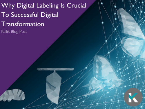 why-digital-labeling-is-crucial-to-successful-digital-transformation-blog-cover