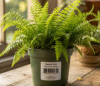 label on a plant pot